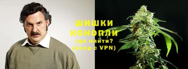 a pvp Горняк