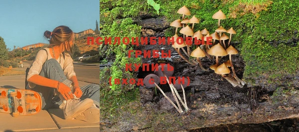 mdma Горнозаводск